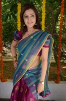 Nisha Agarwal Saree Photos